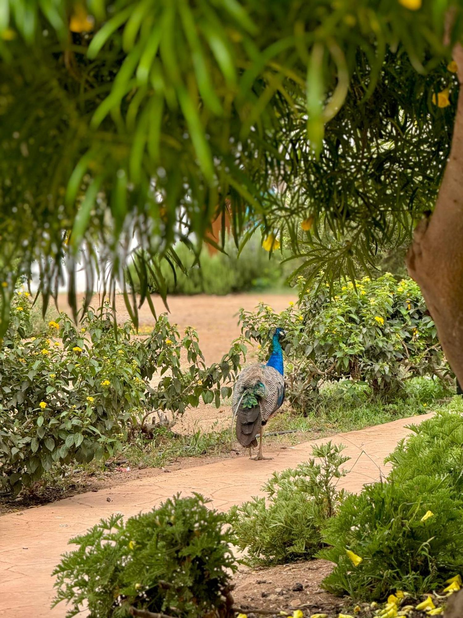 Lunja Village - Agadir Imi Ouaddar ภายนอก รูปภาพ
